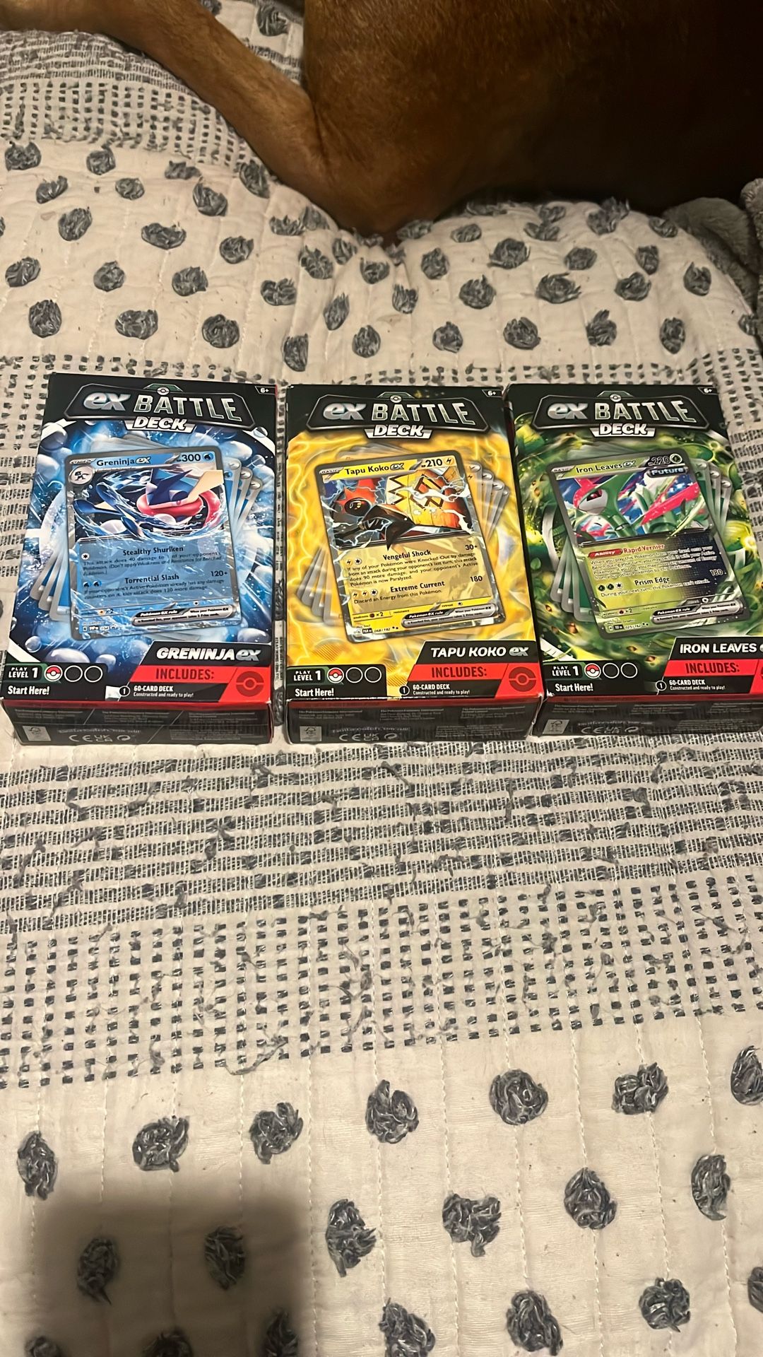 Ex Battle Deck