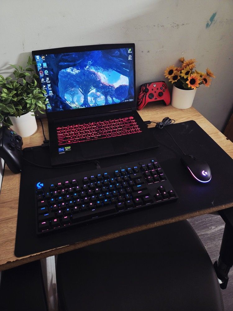 MSI Gaming Laptop