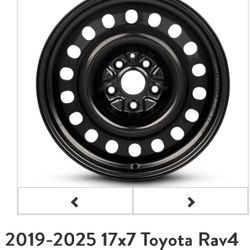 2019-2025 Toyota RAV4 Steelies 