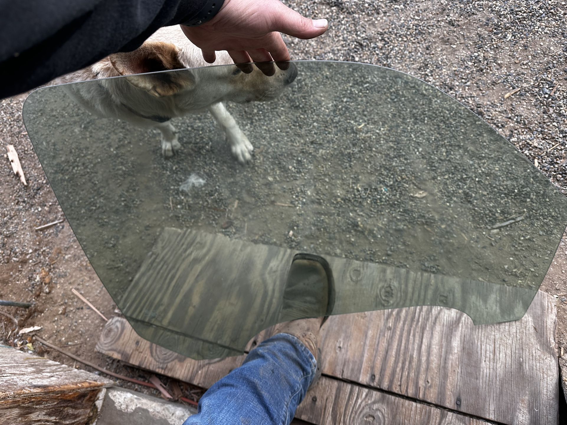 1(contact info removed) Chevy 1(contact info removed) Passenger Front Window