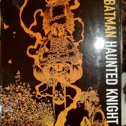 Batman - Haunted Knight 