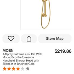 Moen Gold Shower Kit 