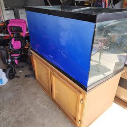 Fish Tank With Premium Filter
