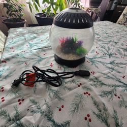 Small Beta Fish Aquarium 