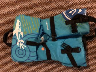 Life vest