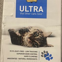 Cat Litter 