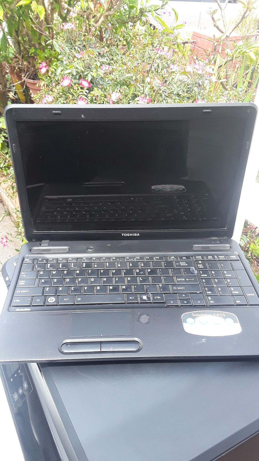 TOSHIBA SATELLITE LAPTOP C655