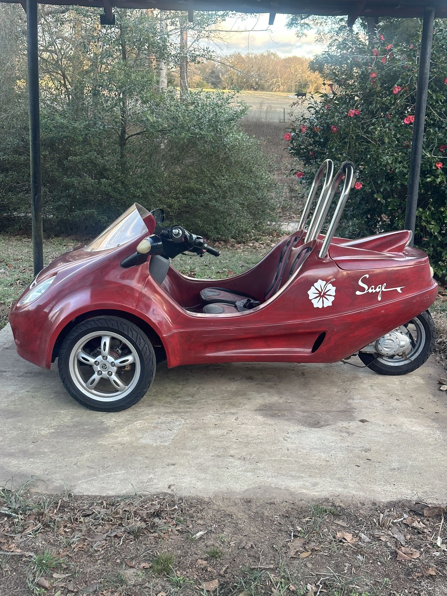 2018 Panther Motors Scoot Coupe