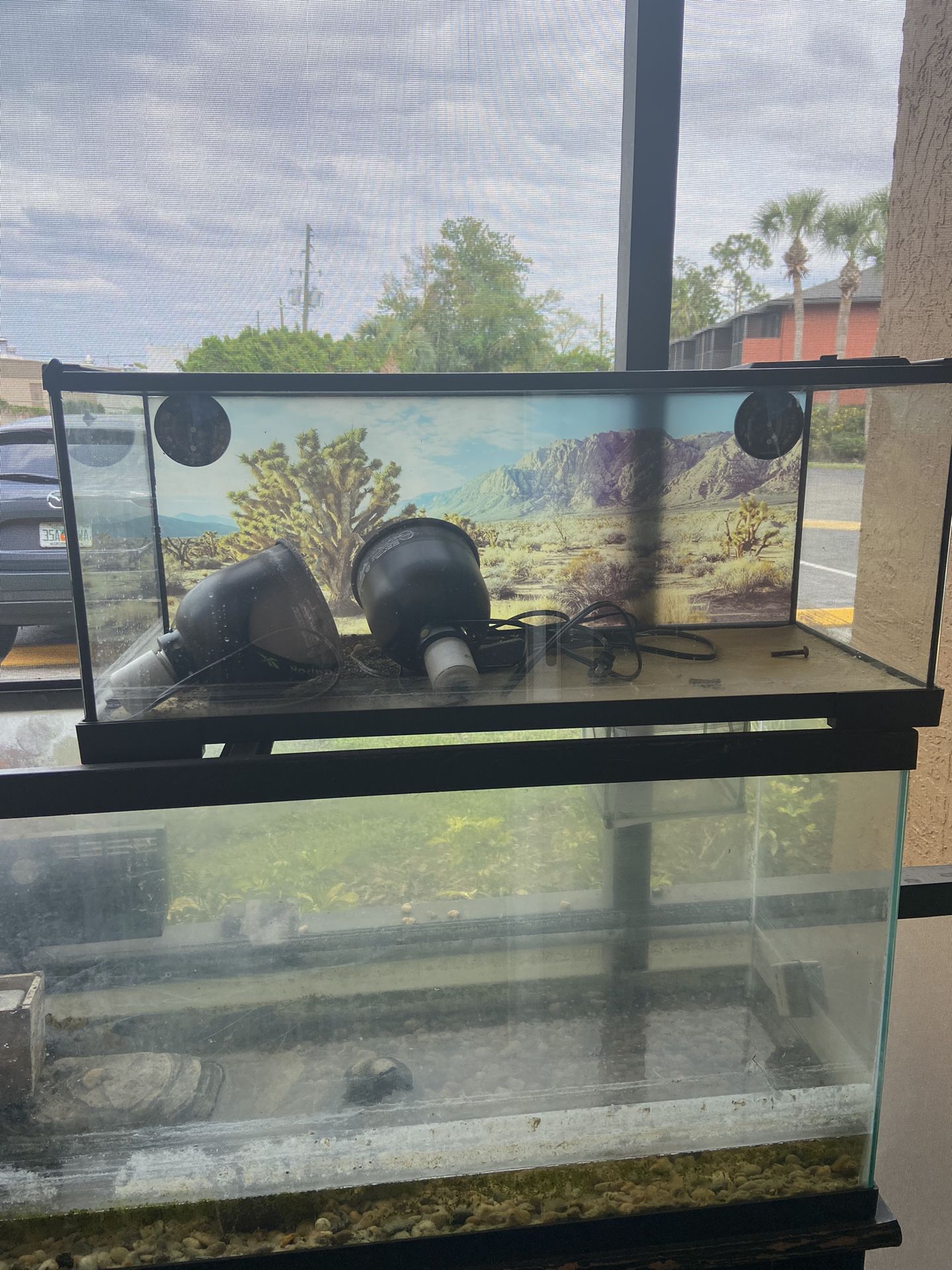 Reptile / Fish Tanks 