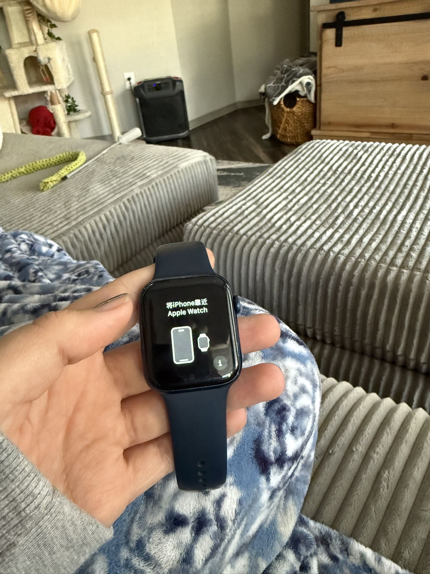 Series 6 Apple Watch 
