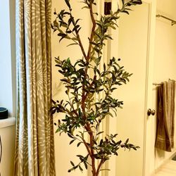 7ft Tall Artificial Olive Tree