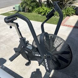 Rogue Echo Bike