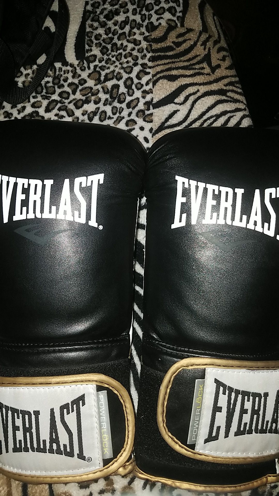 Everlast boxing gloves