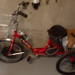 Electric Tricycle