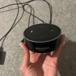 Amazon Echo Dot
