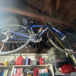 Trek Alpha Road Bike