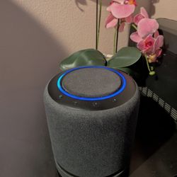 Echo Studio Speaker 