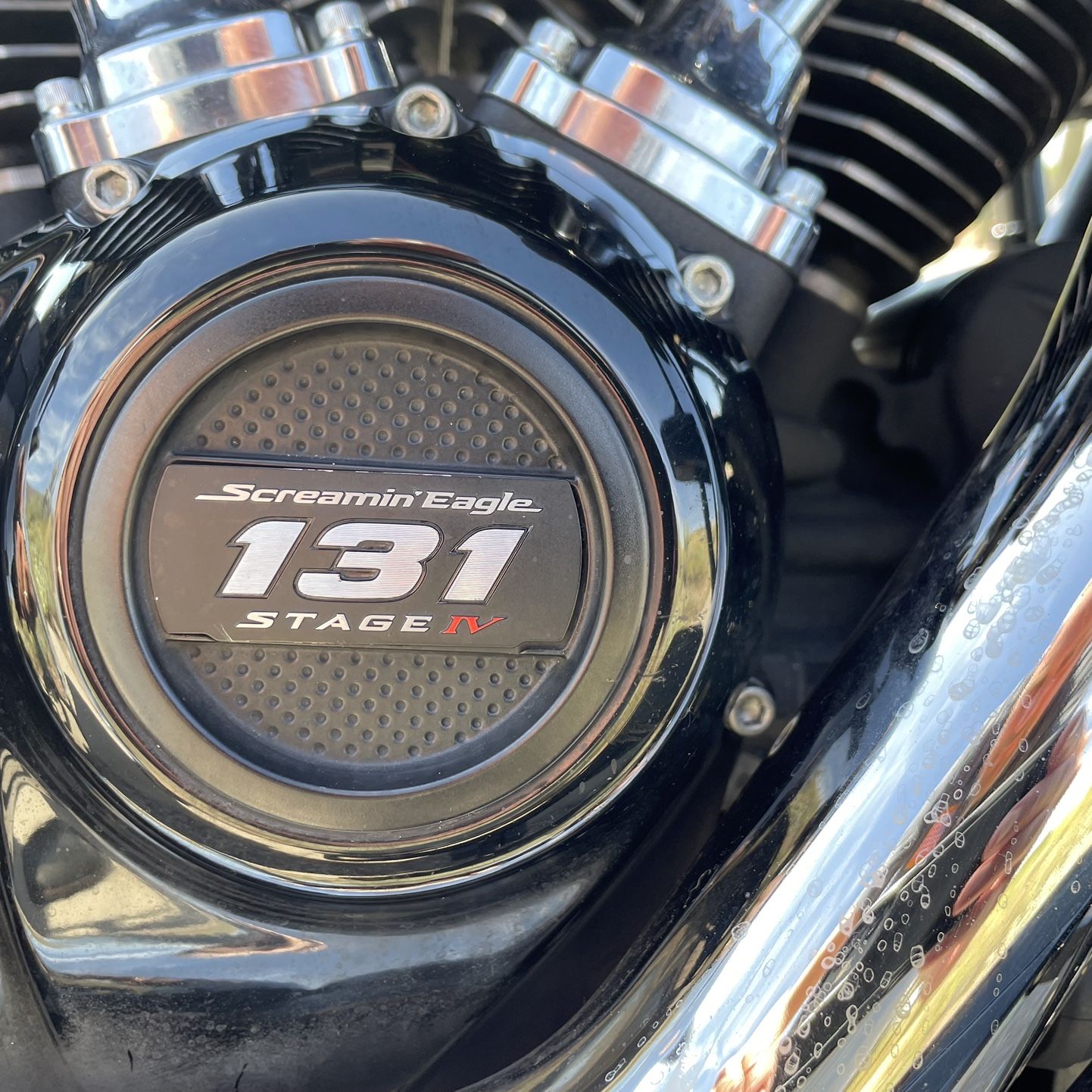 2020 Harley Davidson Special