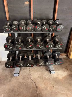 Comercial bench and dumbbells