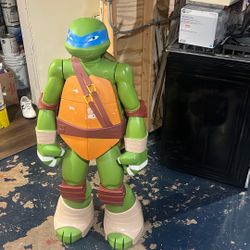 Ninja Turtle That Hold Toys In His Shell 
