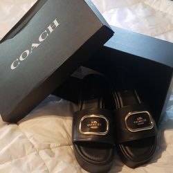 Coach Wedges Brand New Beautiful Sandles