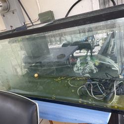 2 fish tanks 1 table