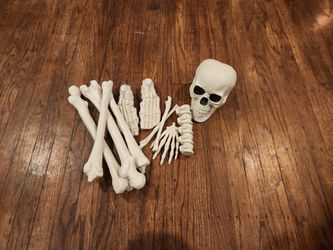 Assorted Halloween Prop Skeleton Bones 