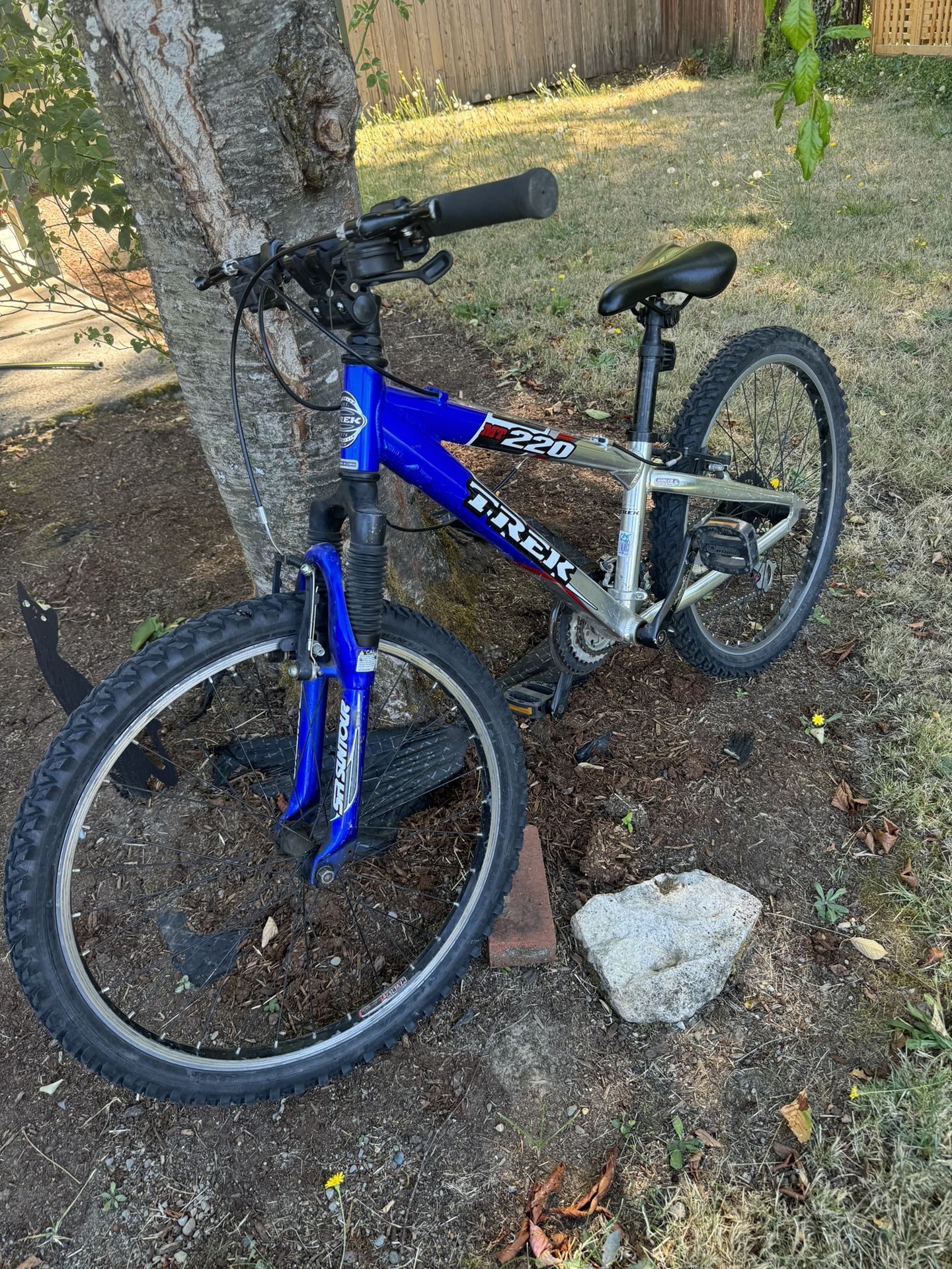 Youth Trek Bike