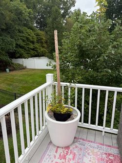 Large Plant Pole and Planter Setup