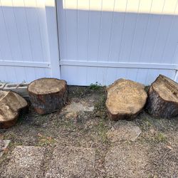 Wood Tree Trunk Slabs