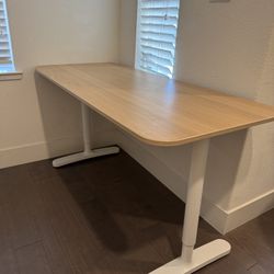 Bekant (Ikea) Height Adjustable Desk.
