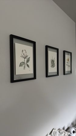 Set of 3 Black Frames with Watercolor Prints
