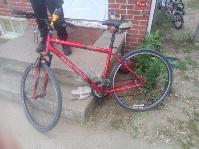 Diamondback. Edgewood