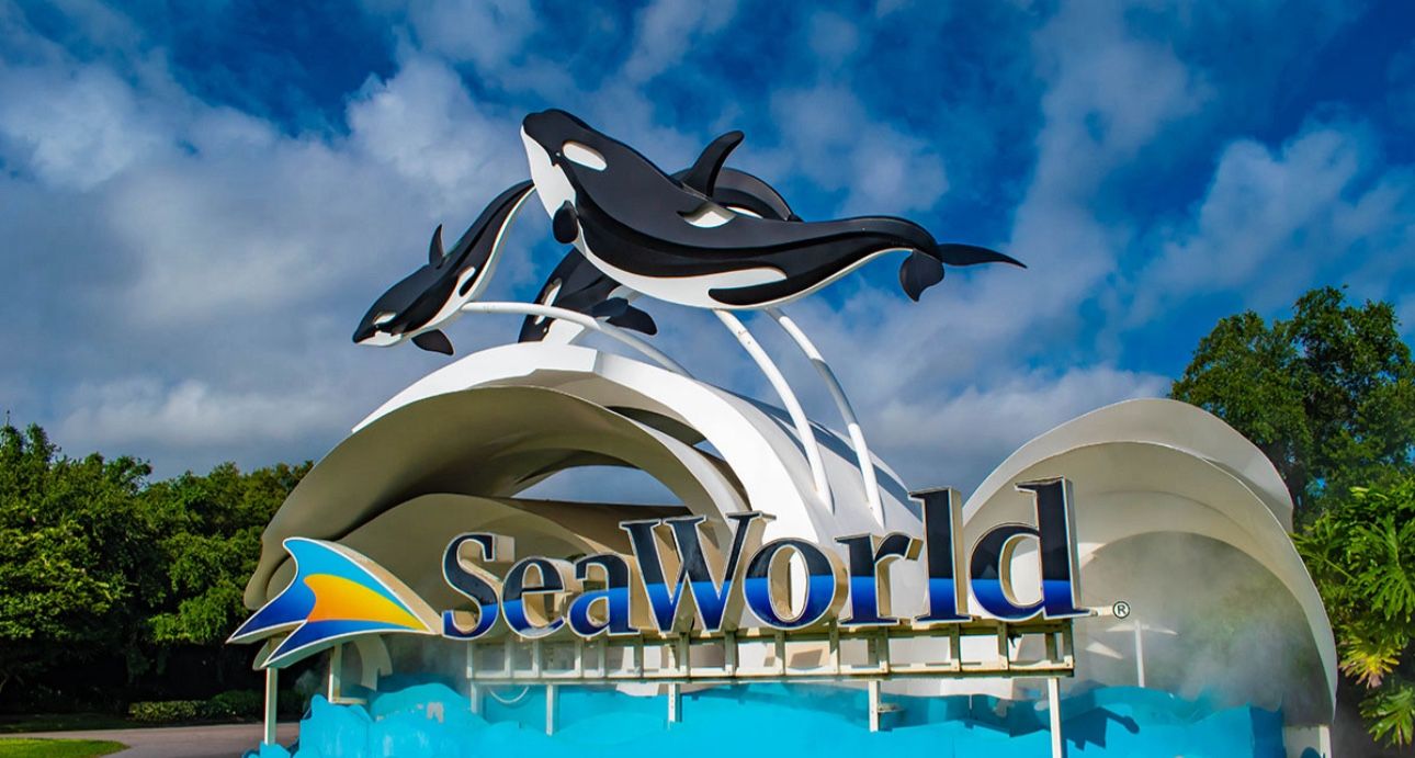 Sea World Tickets