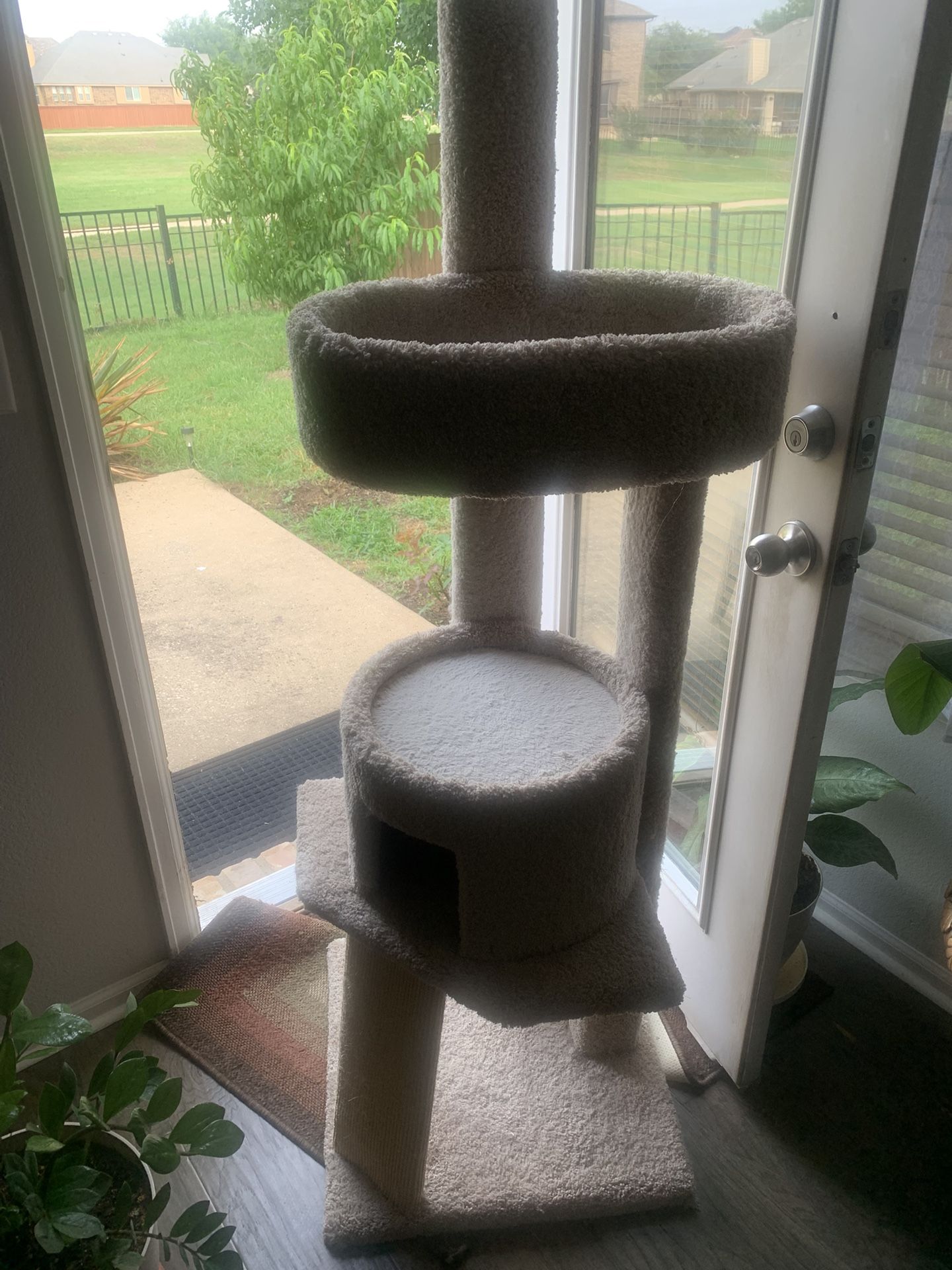 For your cats! Cheap! Please!