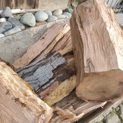 fresh fire wood