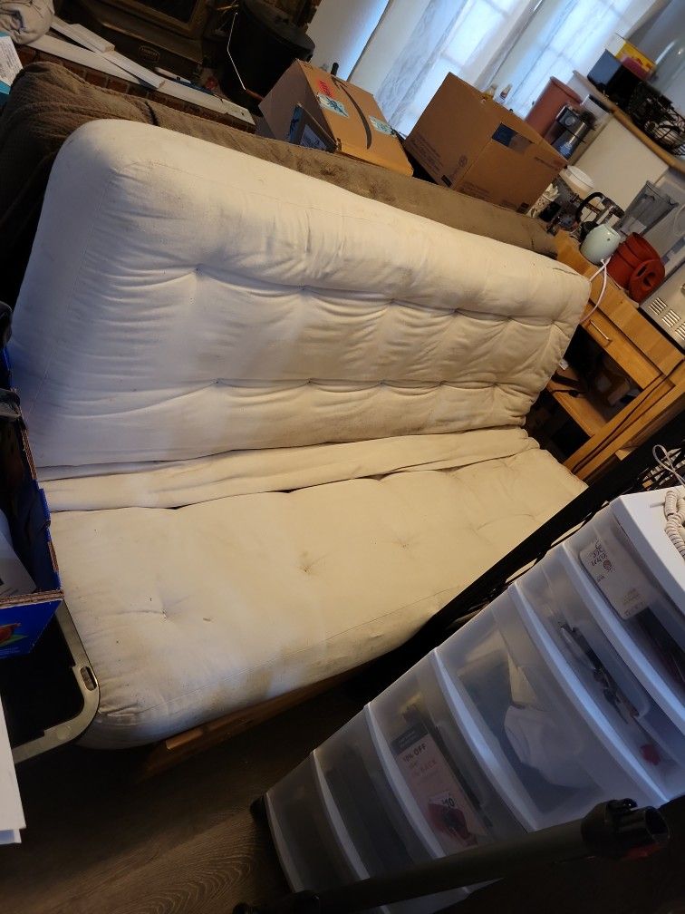 Futon Bed And Couch
