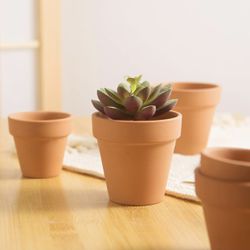 3 inch Plant Nursery pots Number of Items in a 10 Pack, with Drain, Succulent Seedling Planter, use with Indoor, windowsill, Terra Cotta red Flower po