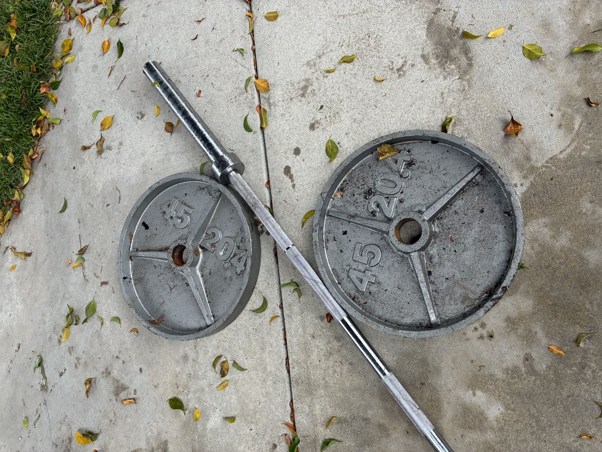 Olympic Weights With Bar Brand New $100 Firm