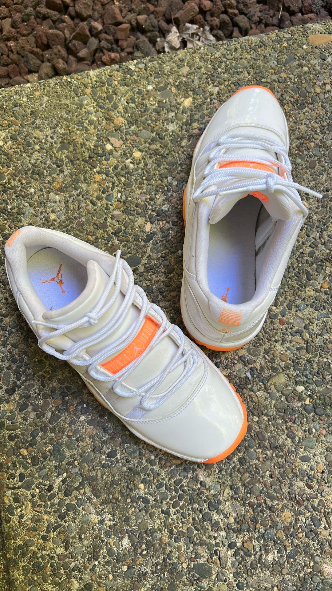 Air Jordan Retro 11 Low Top