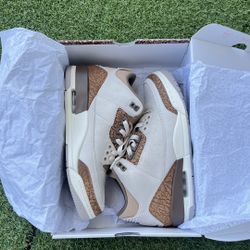 Palomino Jordan 3s