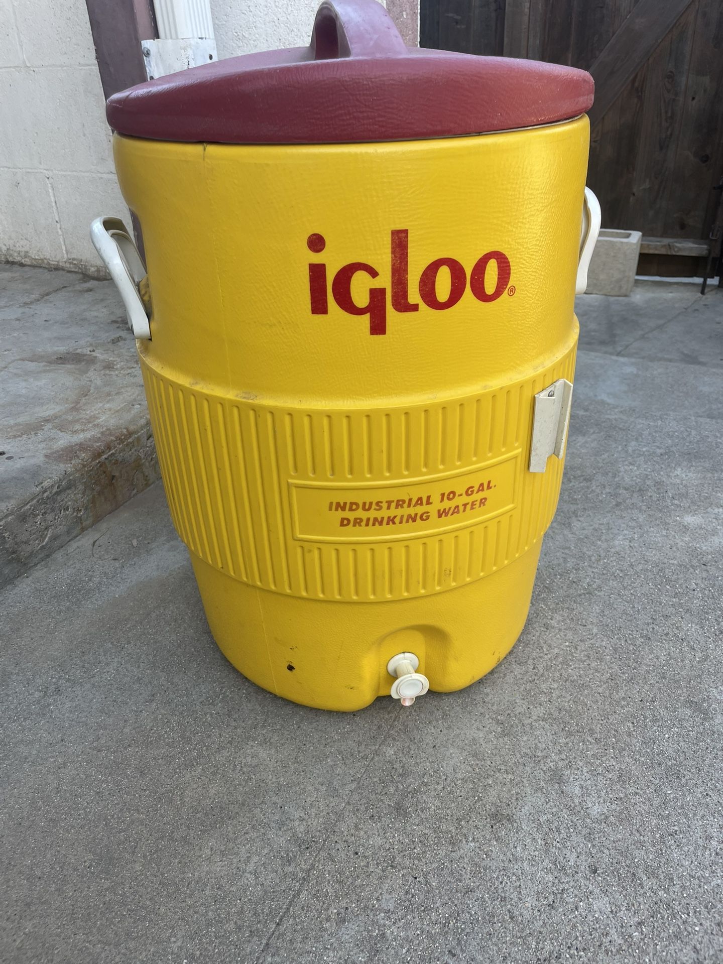 Igloo Water Cooler