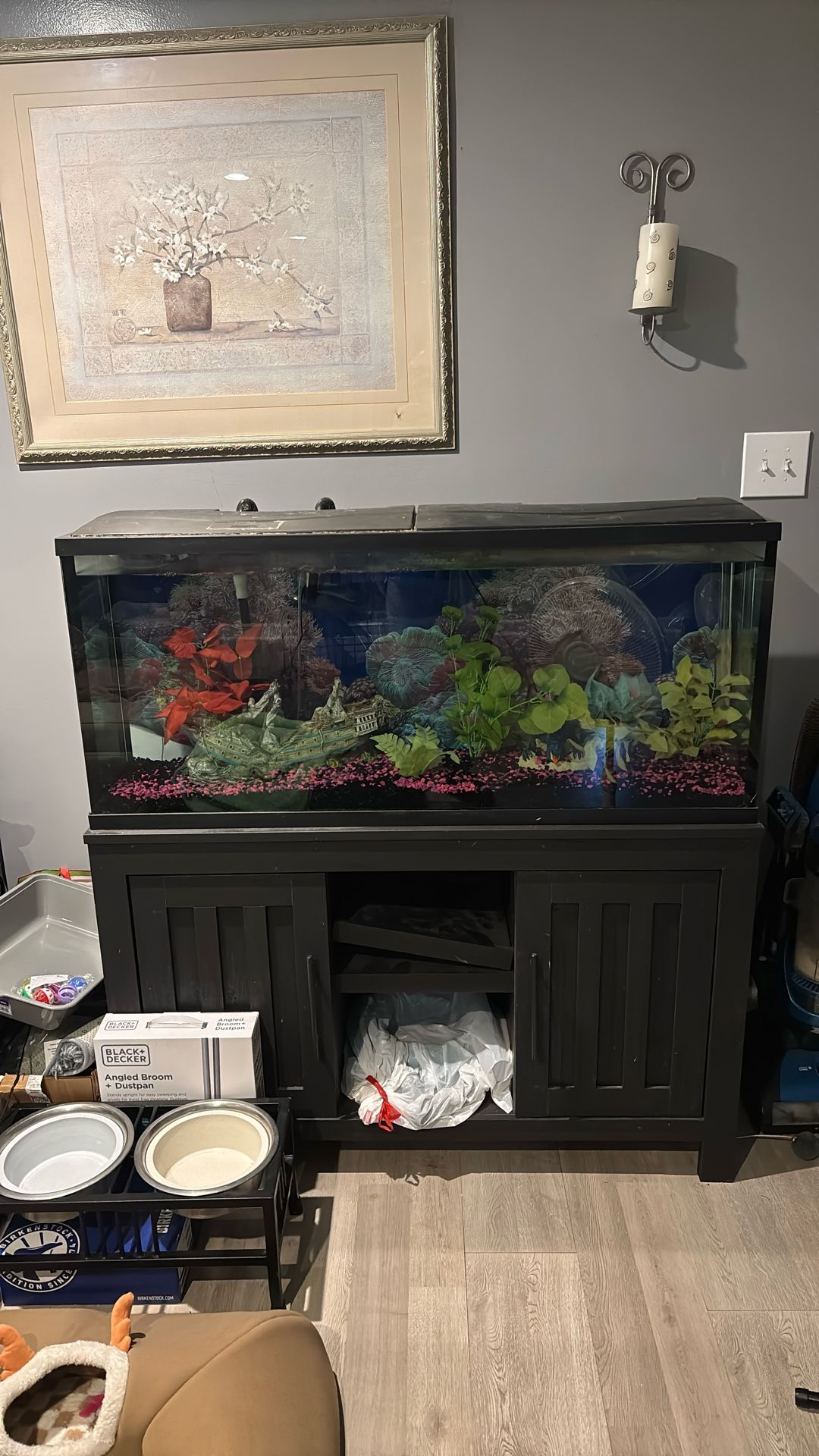 55 Fish Tank Cheap