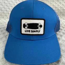 Patagonia Live Simply Skateboard Trucker Hat in Blue