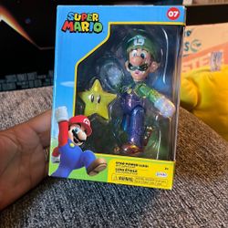 Nintendo Super Mario Luigi