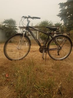 Used solitaire schwinn bike