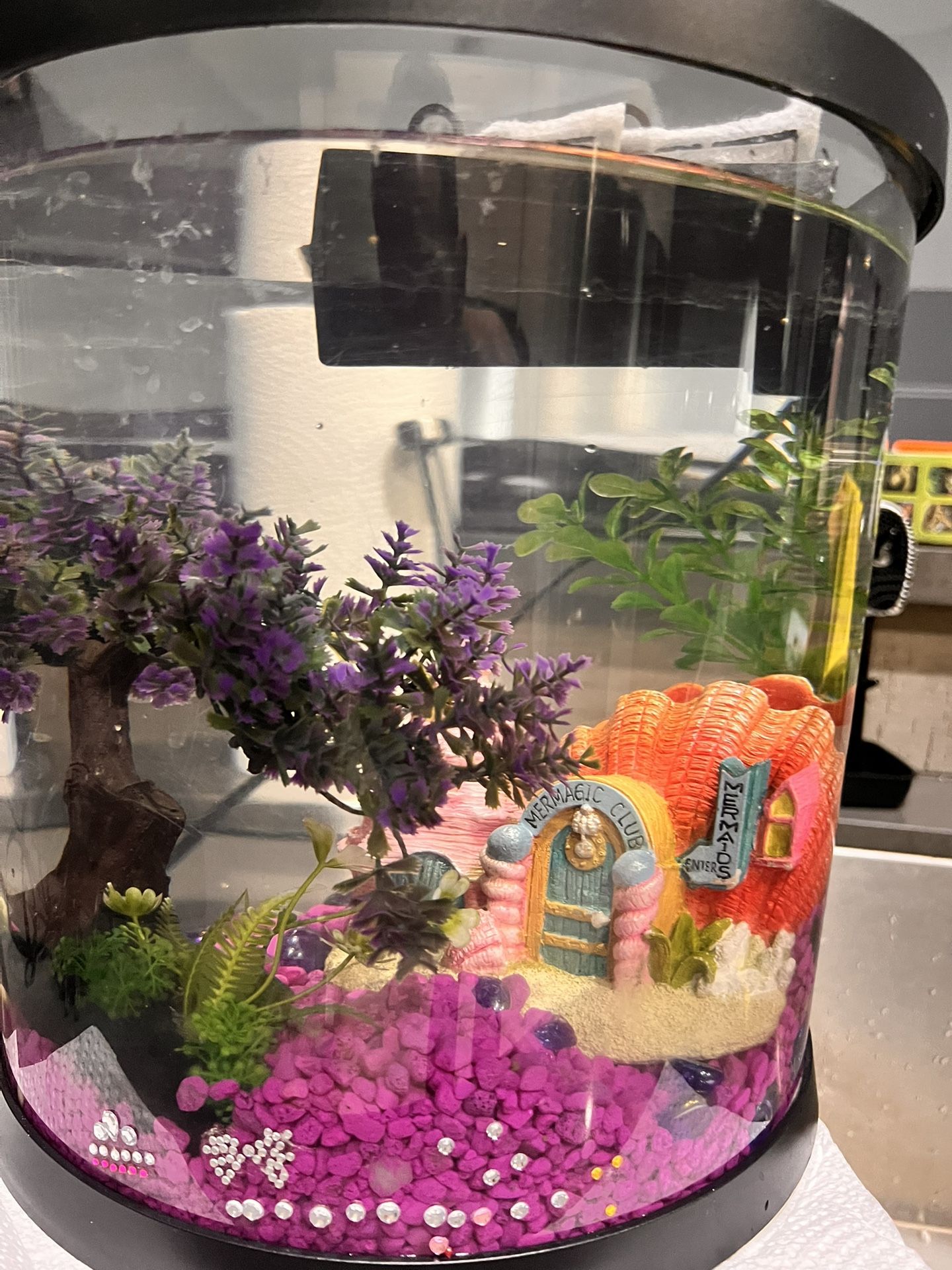 3.5gallon top Fin Beta Fish Tank With Accessories