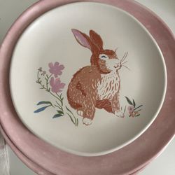 Easter Bunny Dinnerware Set 