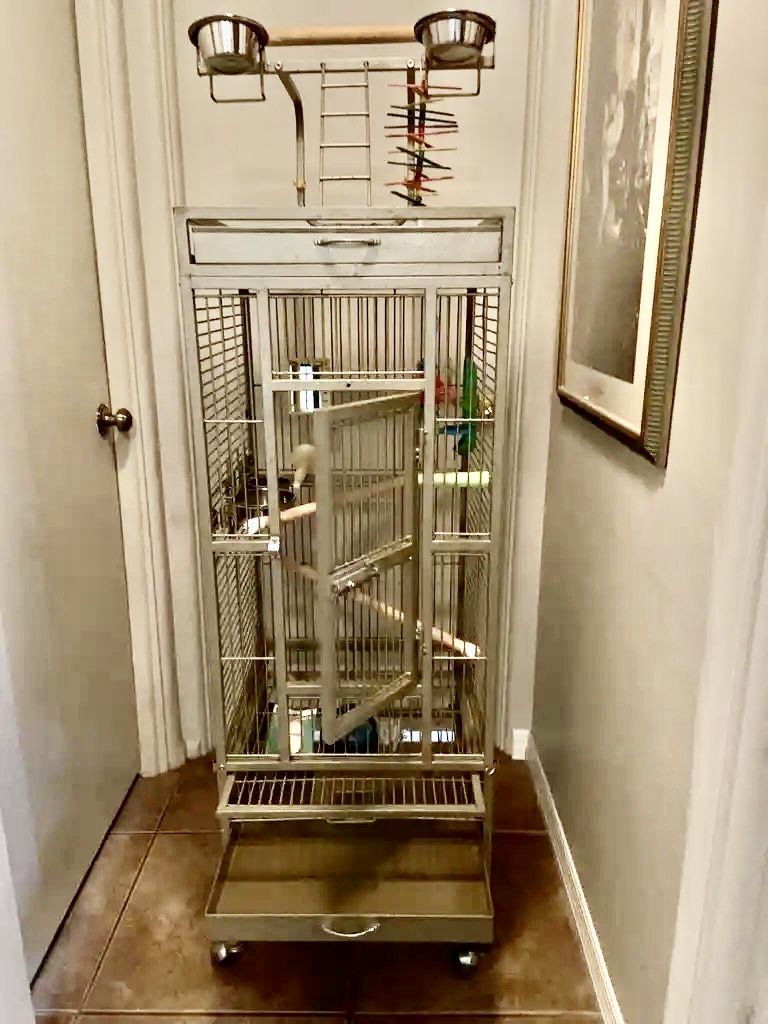 Prevue Pet Brushed Gold Metal Playtop Bird Cage 5' Tall