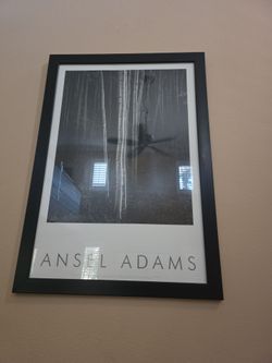 Ansel Addams Woodland Picture